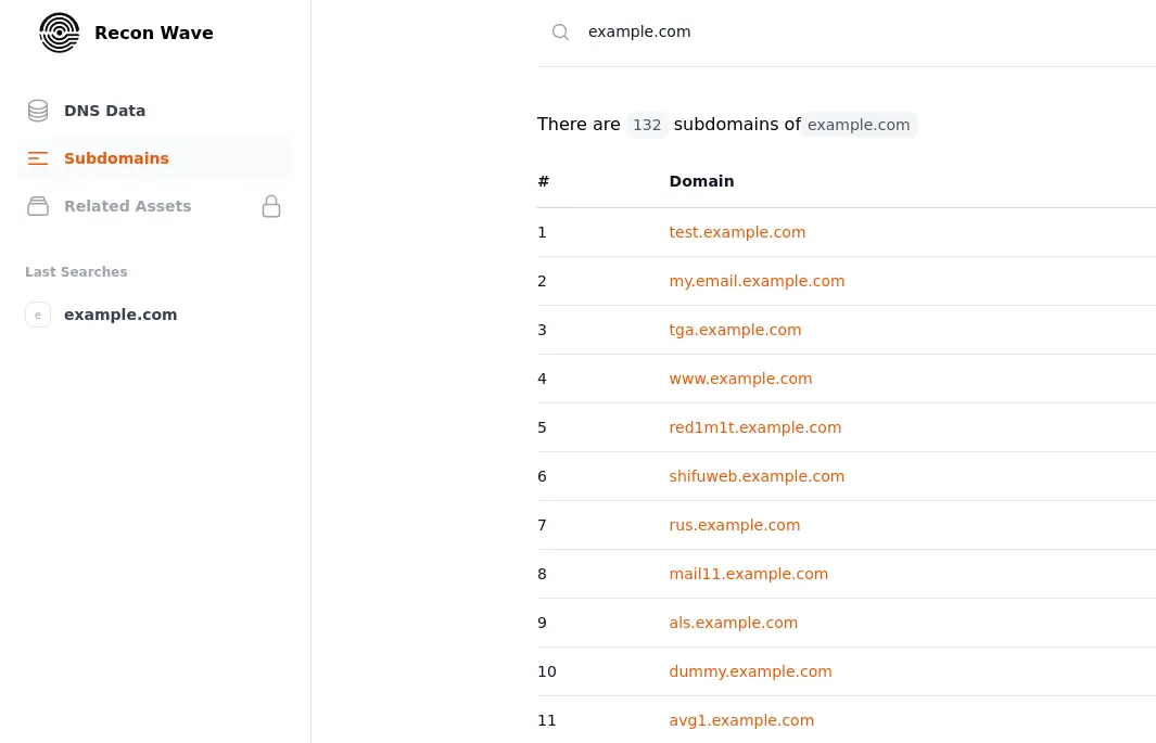 Recon Wave Search DNS-record results interface