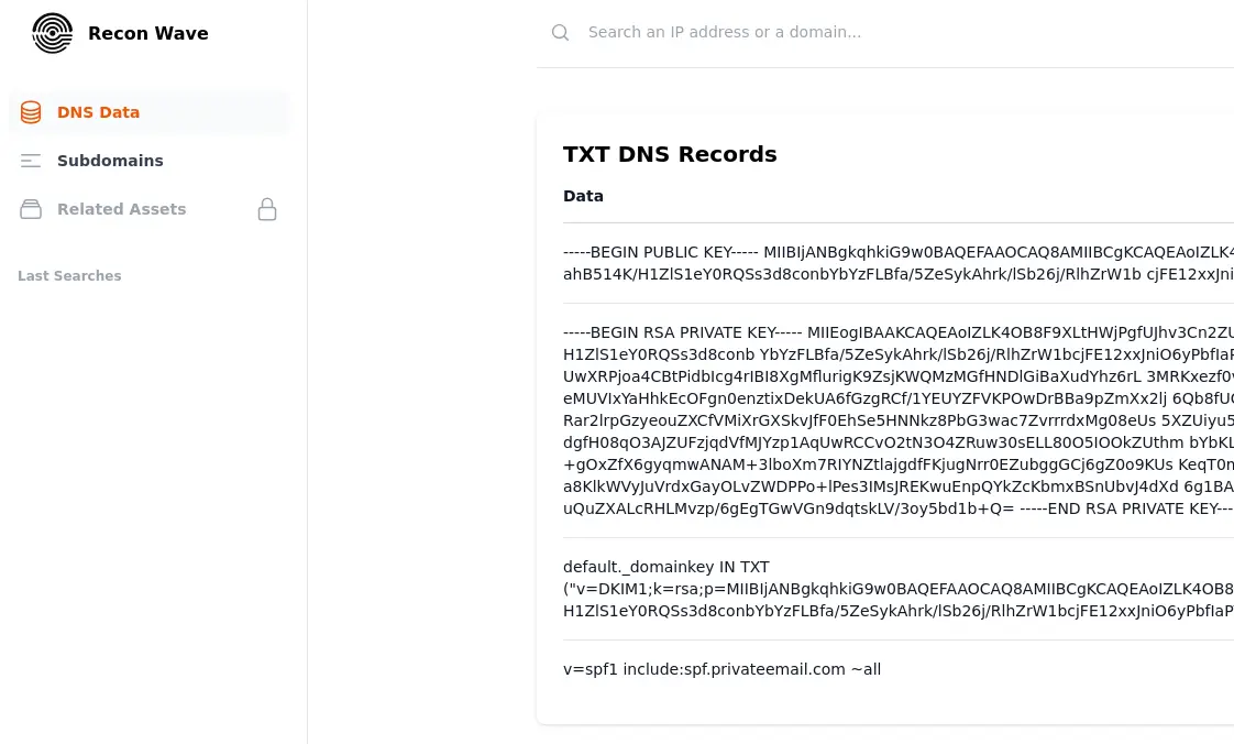 Recon Wave Search results showing RSA private keys in DNS TXT records